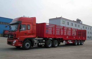 貨運資格證考試面試換輪胎謝謝,要詳細的